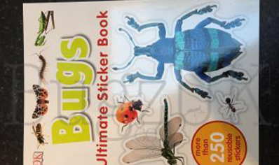 Insects : Bugs Ultimate Sticker Book