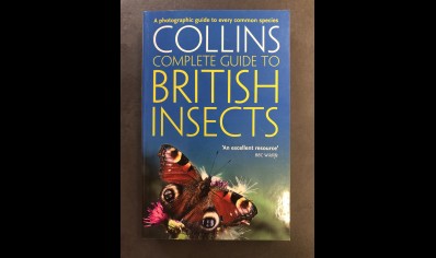 Insects : Collins Complete Guide British Insects