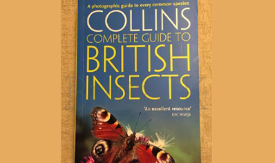 Insects : Collins Complete Guide British Insects