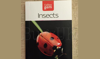 Insects : Collins Gem Insects