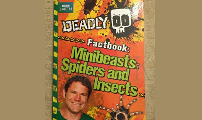 Insects : Deadly Factbook 2 Minibeasts , Spiders And Insects