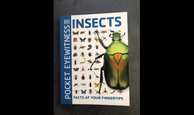 Insects : Dk Pocket Eyewitness Insects