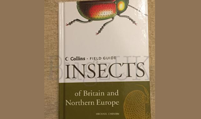 Insects : Field Guide Insects Gb & Europe 3rd