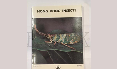 Insects : Hong Kong Insects 1
