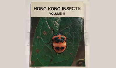 Insects : Hong Kong Insects 2