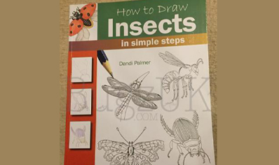 Insects : How To Draw Insects In Simple Steps