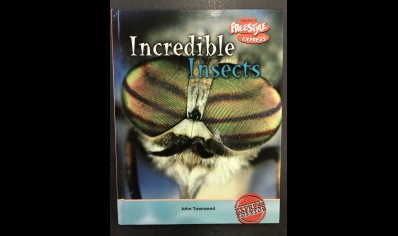 Children's Insects : Incredible Insects