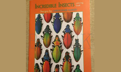 Insects : Incredible Insects Colouring Book