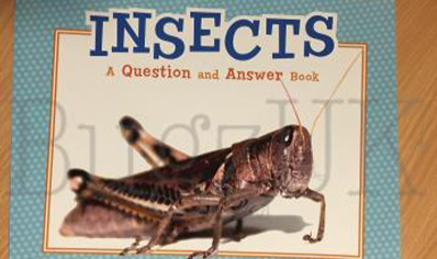 Children's: Insects : Insects A Question And Answer Book