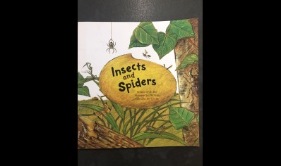 Children's Insects : Insects And Spiders