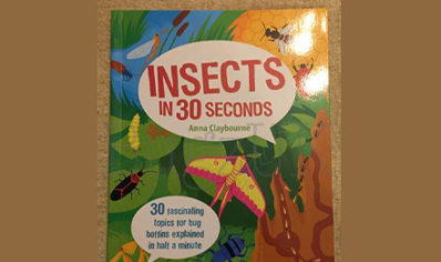 Insects : Insects In 30 Seconds