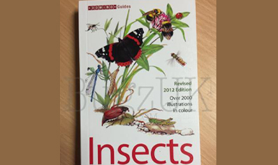 Insects : Insects Of Britain And Western Europe