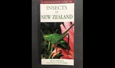 Insects : Insects Of New Zealand