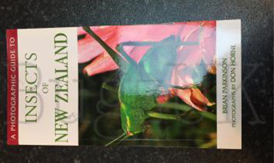 Insects : Insects Of New Zealand