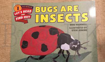 Insects : Lets Read Science 1 Bugs Are Insects