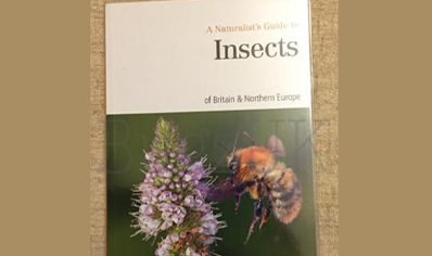 Insects : Naturalists Guide Insects Britain & Northern Europe