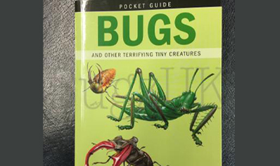 Insects : Pocket Guide Bugs And Other Terrifying Creatures
