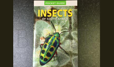 Insects : Pocket Guide To Insects Of South Africa