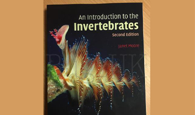 Invertebrates : An Introduction To The Invertebrates