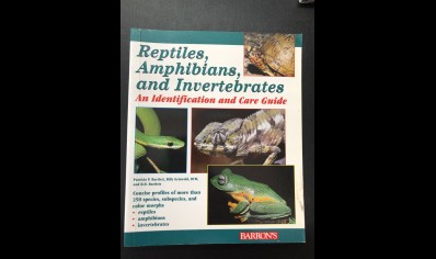 Invertebrates : Reptiles, Amphibians And Invertebrates