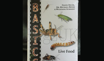 Livefoods : Live Food