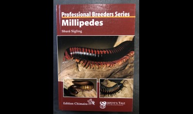 Millipedes : Professional Breeders Series : Millipedes : By Shura Sigling