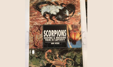 Scorpions : Scorpions Keeping & Breeding Them In Captivity