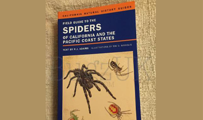 Spiders : Field Guide To Spiders Of California And The Pacific Coast States