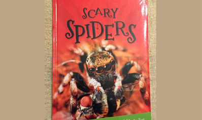 Spiders : Its All About Scary Spiders