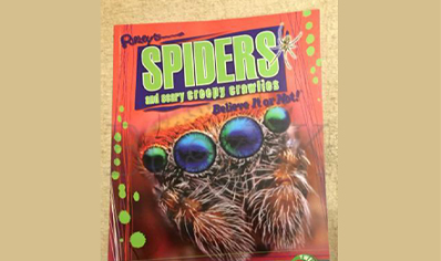 Spiders : Ripleys Spiders And Other Creepy Crawlies