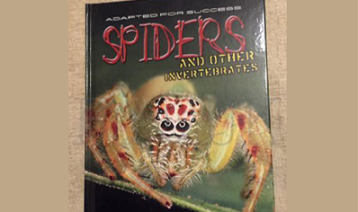 Spiders : Spiders And Other Invertebrates