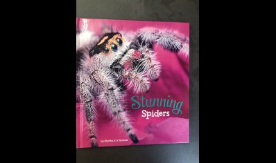 Children's Spiders : Stunning Spiders By Martha Rustad