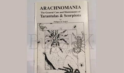 Tarantulas : Arachnomania