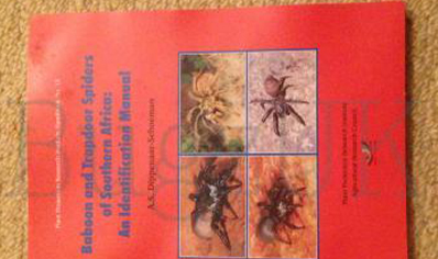 Tarantulas : Baboon And Trapdoor Spiders Of South Africa By Dippenaar