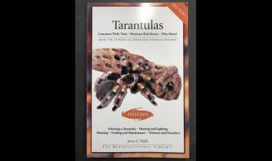 Tarantulas : Tarantulas