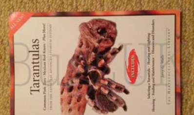 Tarantulas : Tarantulas