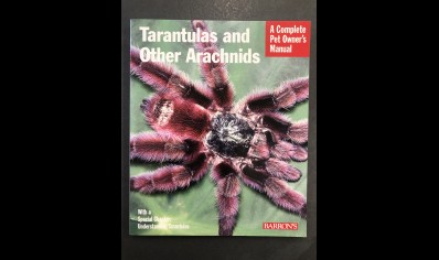 Tarantulas : Tarantulas And Other Arachnids