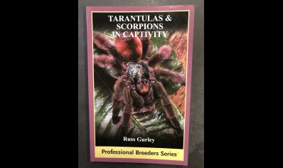 Tarantulas : Tarantulas And Scorpions In Captivity