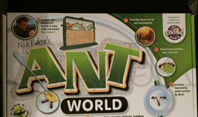 Ant House : Interplay Ant World
