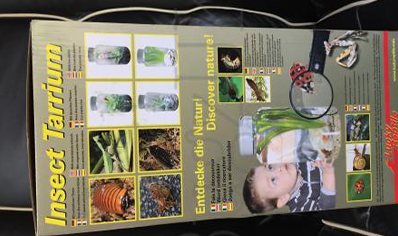 Insect Terrarium : Insect Terrarium With Lights