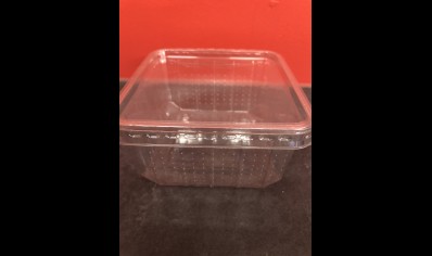 Plastic Vented Tub :11cm X 11cm X 6cm (price For 10 Tubs)