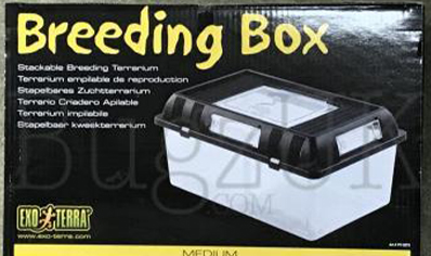 Vivarium :exo Terra Breeding Box Medium 