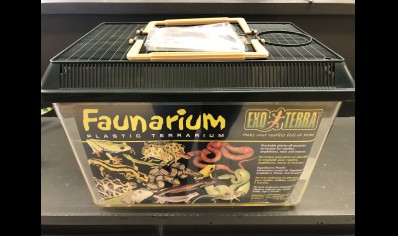 Vivarium :exo Terra Standard Faunarium Flat, Medium