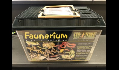 Vivarium :exo Terra Standard Faunarium Flat, Medium