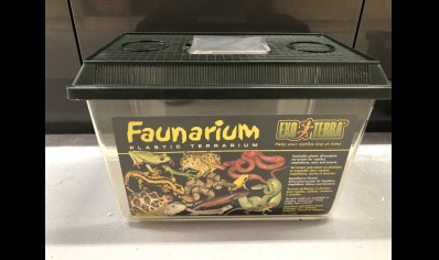 Vivarium :exo Terra Standard Faunarium Large