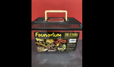 Vivarium :exo Terra Standard Faunarium Medium