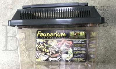 Vivarium :exo Terra Standard Faunarium Medium 