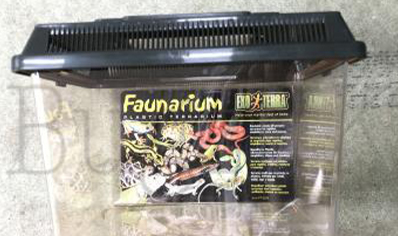 Vivarium :exo Terra Standard Faunarium Mini
