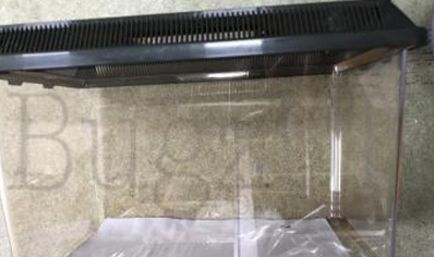 Vivarium :exo Terra Standard Faunarium Small