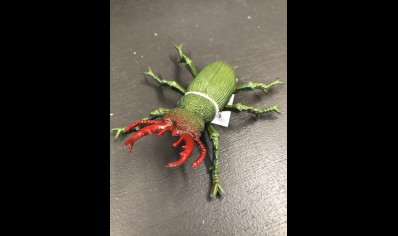 Plastic Insects : Individual : Beetle (over 3yr Old Only)